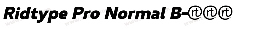 Ridtype Pro Normal B字体转换